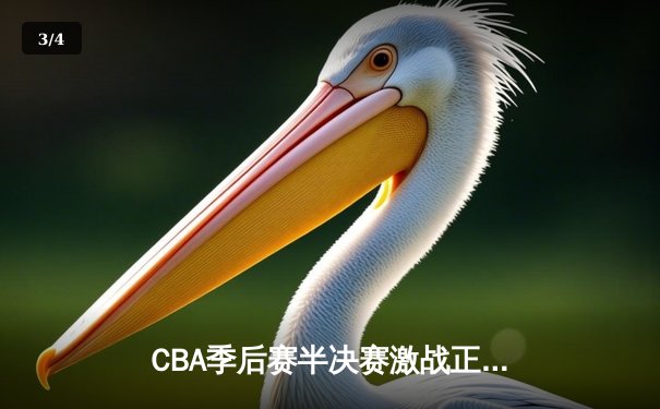 CBA季后赛半决赛激战正酣 辽宁本钢加时险胜广东东莞大益 - 3
